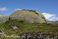 F170187: Rundhöcker aus Aaregranit