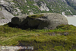 F170188: Rundhöcker aus Aaregranit