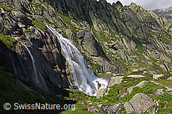 F170190: Eindrücklicher Wasserfall