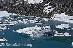 F175146: Chüebodengletscher: Eisschollen und kleine Eisberge auf dem Gletschersee
