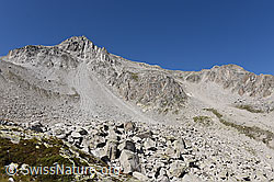 F175221: Sturzbahn und Kegel eines Bergsturzes