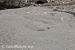 F185954: Unteraargletscher: Eisloch im Gletschervorfeld