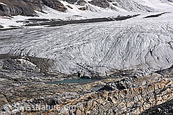 F186367: Gletscherende des Kanderfirns