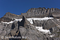 F186370: Namenloser Gletscher in der Südflanke des Fründehorns