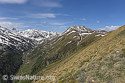 F210196: Blick vom Breithorn über das Saflischtal zu Oberblatthorn und Saflischpass