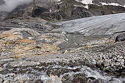 F216561: Kanderfirn: Gletscherzunge und Gletscherbach