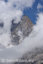 F216567: Mystische Wolkenstimmung auf der SE-Seite des Doldenhorns