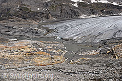 F216570: Gletscherzunge und südlicher Gletscherbach