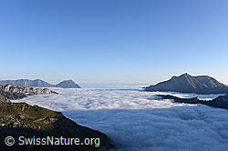F226571: Nebelmeer über dem Kiental, dem Kandertal und dem Mittelland