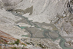 F231184: Gletschervorfeld des Fieschergletschers