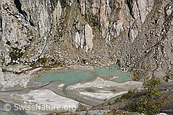 F231241: Gletschervorfeld des Fieschergletschers
