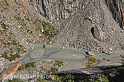 F231331: Gletschervorfeld des Fieschergletschers