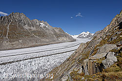 F231430: Grosser Aletschgletscher (Stand 9.2022)