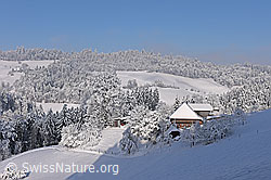 F264023: Bauernhaus in Winterlandschaft