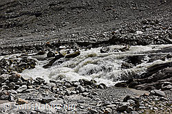 F278986: Tagesgang Schmelzwasser Oberaargletscher