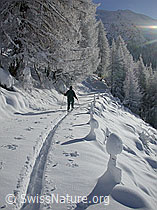 G001032: Auf Skitour unterwegs in tief verschneiter Landschaft