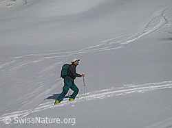 G001162: Skitouren: Tourenfahrer im Aufstieg