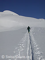 G001185: Skitour: Langezogene Skispur mit Skitourenfahrer im Aufstieg