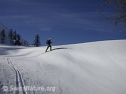 G001423: Skitourenfahrer im Aufstieg