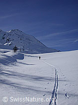 G001446: Skitouren im Wallis