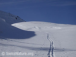 G001452: Winterlandschaft: Skispur führt auf Hockbode