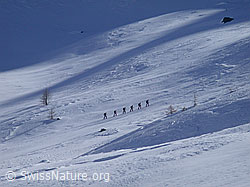 G001521: Skitourengruppe im Aufstieg