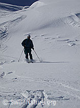 G001529: Skifahrer bei der Abfahrt
