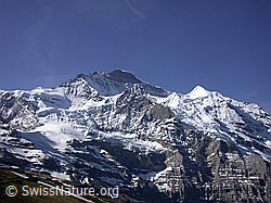 G002642: Kleine Scheidegg: Jungfrau, Schneehorn, Silberhorn