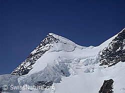G002739: Jungfraujoch: Rottalhorn und Rottalsattel
