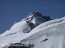 G002767: Gletscherhorn