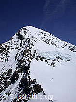 G002792: Jungfrau (Sphinx): Mönch
