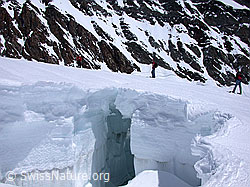 G002854: Jungfraufirn: Alpinist auf Schneebrücke über Gletscherspalte