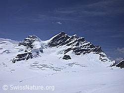 G002863: Rotalhorn, Rottalsattel und Jungfrau