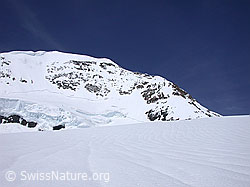 G002902: Mönch von Süden