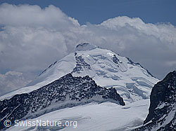 G002933: Jungfraujoch: Aletschhorn
