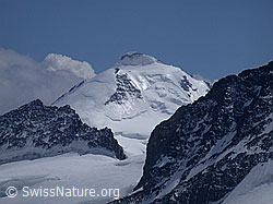 G003012: Jungfraujoch: Aletschhorn