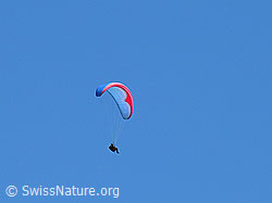 G012947: Gleitschirm im Flug