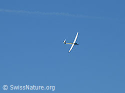 G012950: Segelflugzeug im Flug