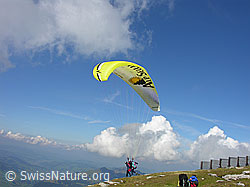 G013905: Gleitschirm-Tandemflug