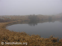 G014898: Herbsstimmung mit Nebel an Bergsee