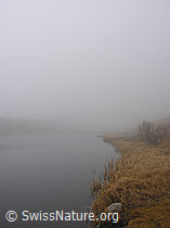 G014906: Nebelstimmung an herbstlichem Bergsee