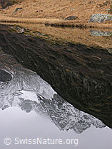 G014916: Perfekte Spiegelung in Bergsee