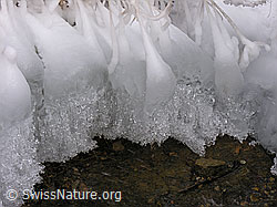 G015379: Glitzernde Glocken aus Eis