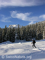 G015396: Schrattenfluh: Schneeschuhläufer und Schleierwolken
