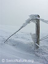 G015502: Rämisgummen, Eggiwil, Emmental