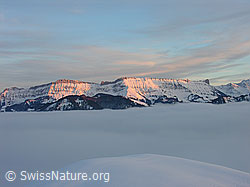 G015601: Winterabend mit Nebelmeer und Abendrot auf Schrattenfluh