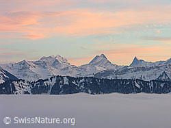 G015638: Abendstimmung über den Berner Alpen mit Nebelmeer