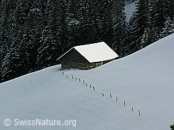 G015723: Alphütte in Winterlandschaft mit Zaun und Wald