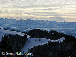 G015747: Schneebedeckte Hohmatt, Niesen, bewölkter Himmel
