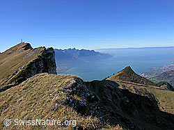 G024020: Rochers de Naye, Le Merdasson, Le Léman